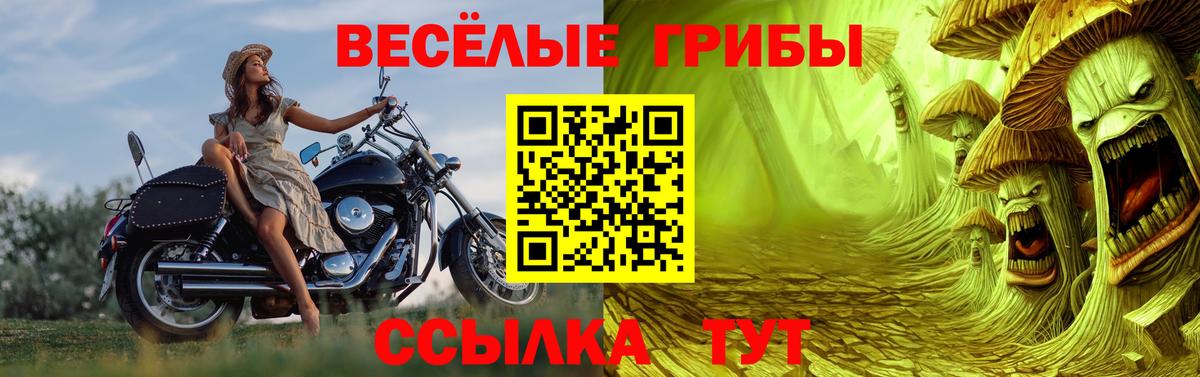 Кудымкар  Псилоцибиновые грибы Psilocybine cubensis  Вход с VPN  Галлюциногенные грибы ЛСД 